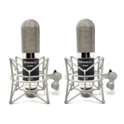 Pinnacle Microphones Vinnie Stereo Pair